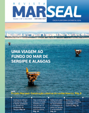 Revista Marseal 1_capa