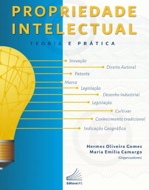 Propriedade intelectual_ teoria e prática_Capa